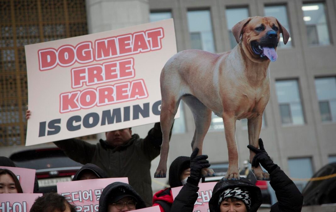South Korea bans dog meat trade for human consumption